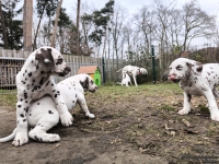 IMG_20250220_160147_web