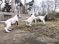 IMG_20250220_160148_web