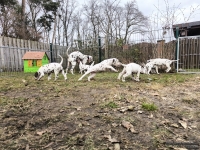 IMG_20250220_160154_web