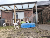 IMG_20250220_160201_web