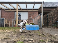 IMG_20250220_160202_2_web