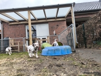 IMG_20250220_160202_web