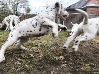 IMG_20250220_160208_web