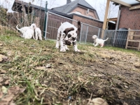 IMG_20250220_160224_web