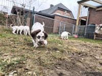 IMG_20250220_160226_web