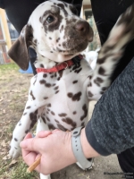 IMG_20250220_160322_web