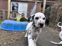 IMG_20250220_160335_1_web