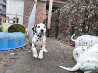 IMG_20250220_160335_web