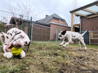 IMG_20250220_160424_web