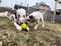 IMG_20250220_160426_web