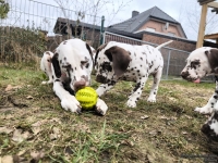 IMG_20250220_160427_web