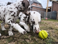 IMG_20250220_160434_web