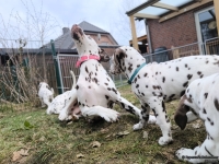 IMG_20250220_160437_web