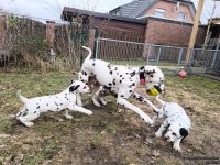 IMG_20250220_160451_1_web