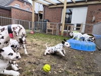 IMG_20250220_160452_web