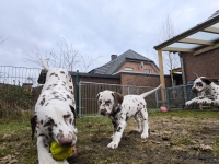 IMG_20250220_160500_1_web