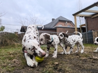 IMG_20250220_160501_web