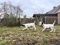 IMG_20250220_160509_1_web