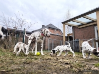 IMG_20250220_160518_1_web