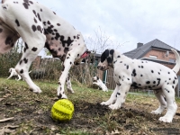 IMG_20250220_160538_web