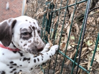 IMG_20250220_160545_web