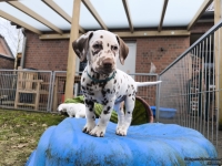 IMG_20250220_160625_web