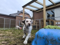 IMG_20250220_160634_web