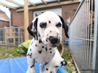 IMG_20250220_160639_web