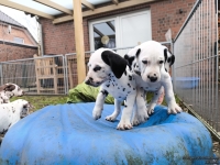 IMG_20250220_160641_web