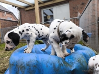 IMG_20250220_160643_web