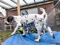 IMG_20250220_160648_web