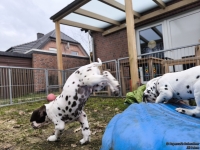 IMG_20250220_160649_web