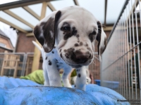 IMG_20250220_160701_web