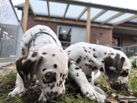 IMG_20250220_160747_web