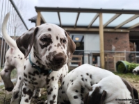 IMG_20250220_160749_web