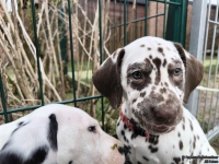 IMG_20250220_160758_web