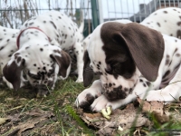 IMG_20250220_160808_web