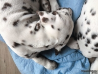 IMG_20250221_091822_1_web