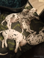 IMG_20250222_001208_web