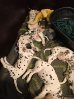 IMG_20250222_001212_web