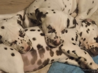 IMG_20250222_002134_web