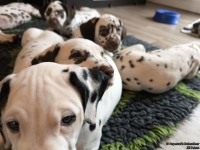 IMG_20250222_105610_web