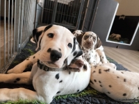 IMG_20250222_105612_web