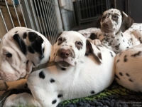 IMG_20250222_105617_web