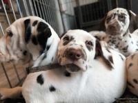 IMG_20250222_105619_web