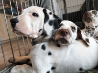 IMG_20250222_105623_web