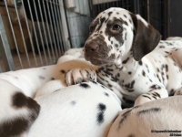 IMG_20250222_105628_web