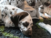 IMG_20250222_105651_web