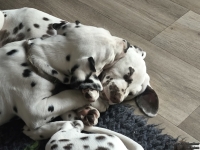 IMG_20250222_112000_web