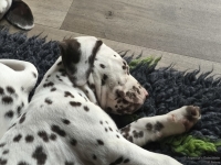 IMG_20250222_112003_web